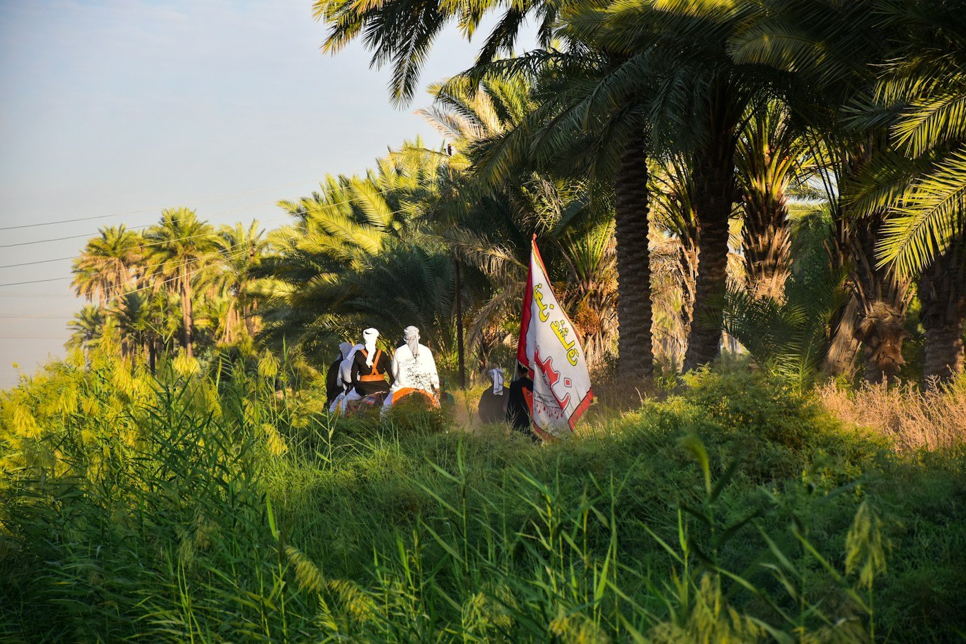 الطاقة النظيفة مسار عملي للمنطقة