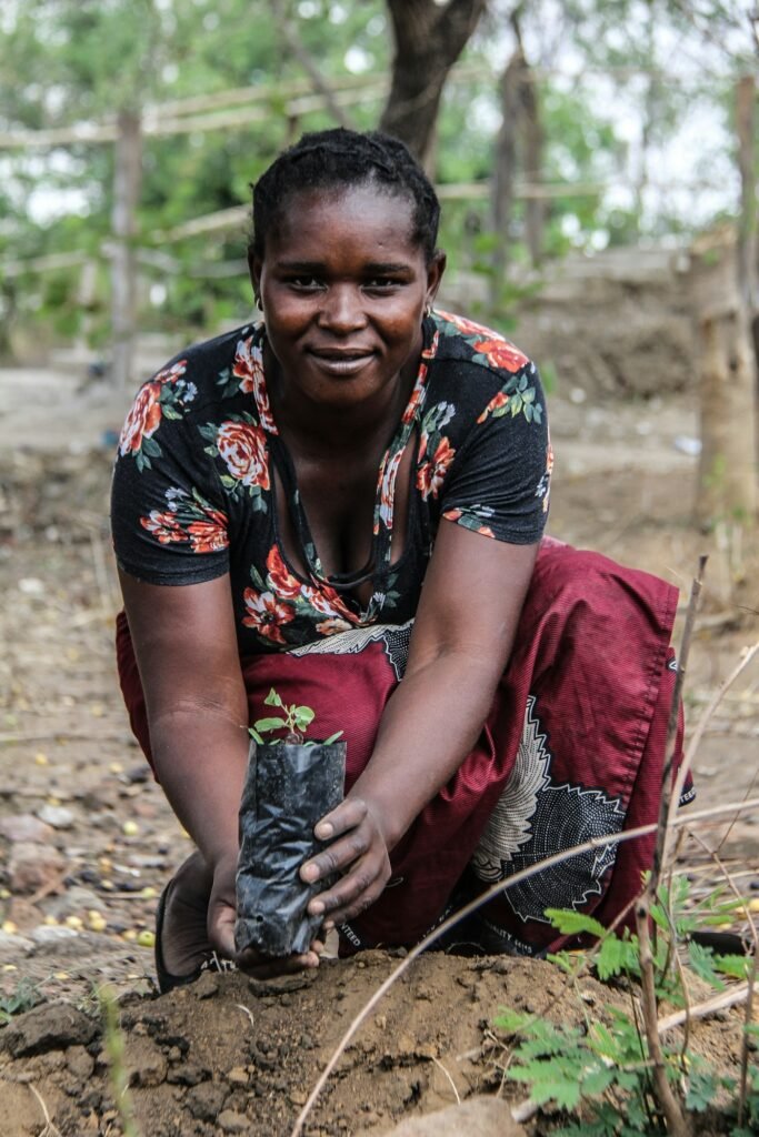 A group of activists planting trees in a sunny desert area, symbolizing hope and renewal.