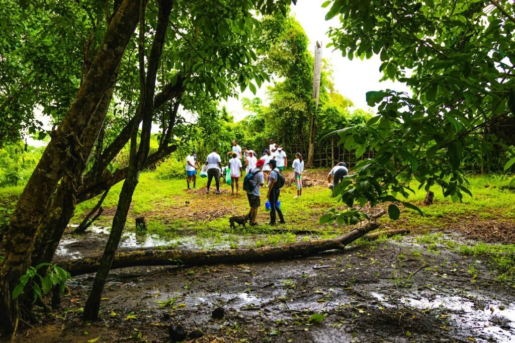 A group of diverse activists planting trees in a sunlit desert landscape.